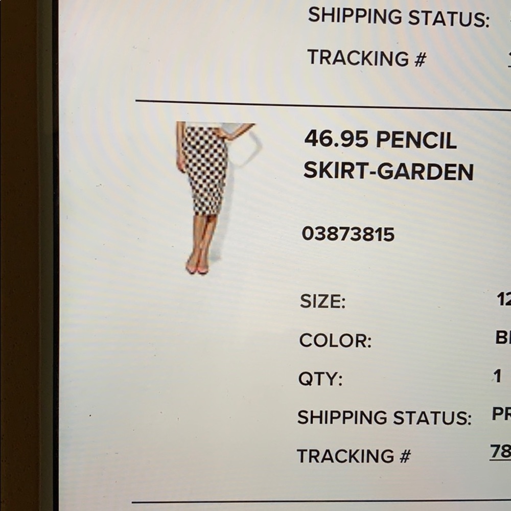 Brown/White Pencil Skirt